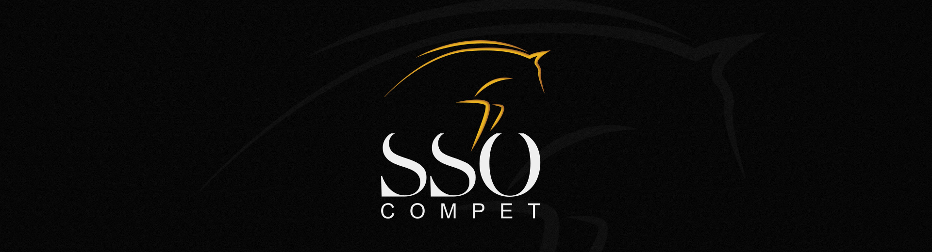 Bandeau SSO Compet