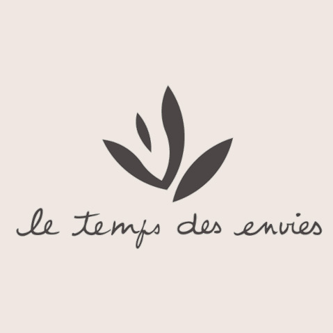 logo du site internet Le Temps des Envies
