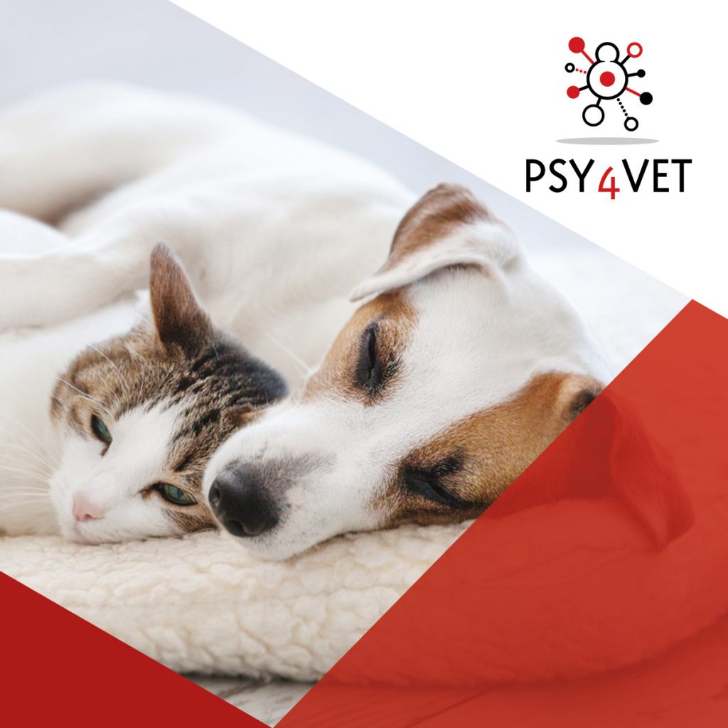 Vignette flyer Psy4vet