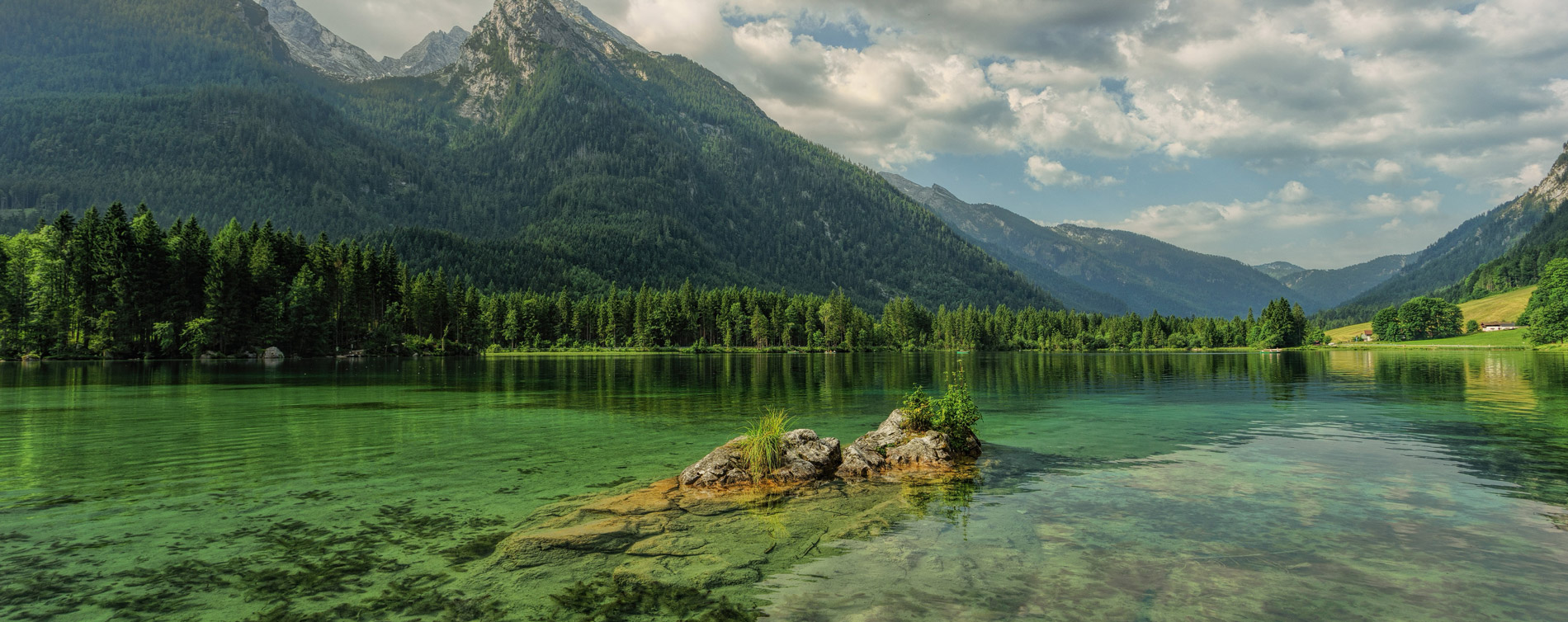 Fond identité visuel Yaya Paddle